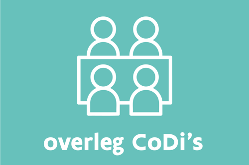 ICOON Overleg Codi's