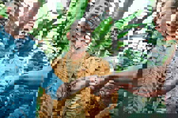 Samenwerken Pexels Fauxels 3228690