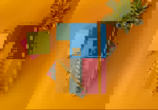 Pexels Viridianaor 29996971