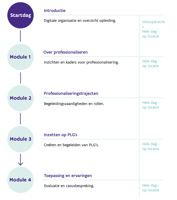 Opleiding Pedagogisch Medewerker Op Mesoniveau – Focus Professionaliseringsbeleid