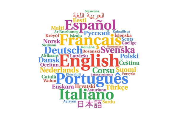 Lerend Netwerk GOK Over Thuistalen Rh