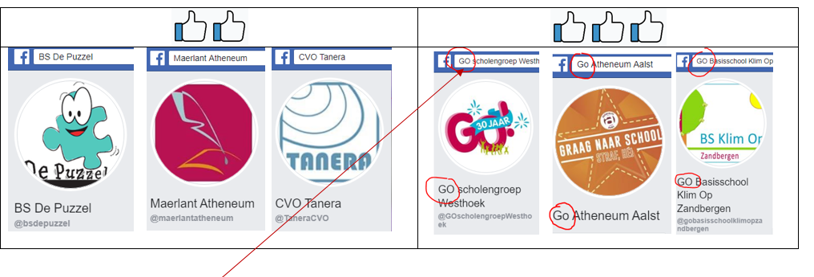 Rij Met Logo's Van Onderwijsinstellingen Zoals 'BS De Puzzel', 'Maerlant Atheneum', En Anderen, Met Facebook Iconen En 'Vind Ik Leuk' Duimen.